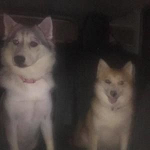 Meet your Posher, Jesse